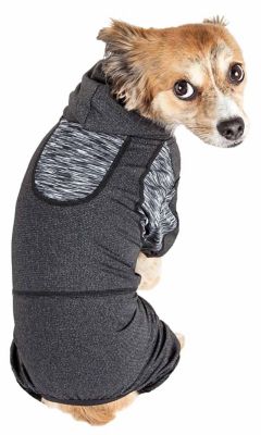 Image showing  Active Pawsterity Heathered Performance 4-Way Stretch 2-Toned Full-Bodied Dog Hoodie