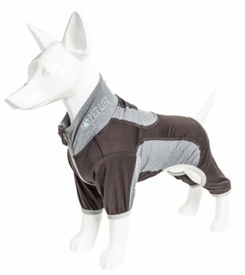 Image showing  Active Warm-Pup Heathered Performance 4-Way Stretch 2-Toned Full-Bodied Warm Up Dog Suit