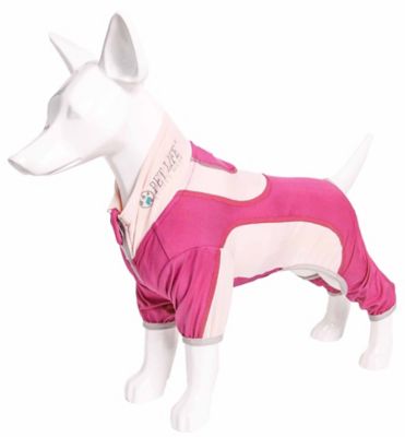 Image showing  Active Warm-Pup Heathered Performance 4-Way Stretch 2-Toned Full-Bodied Warm Up Dog Suit