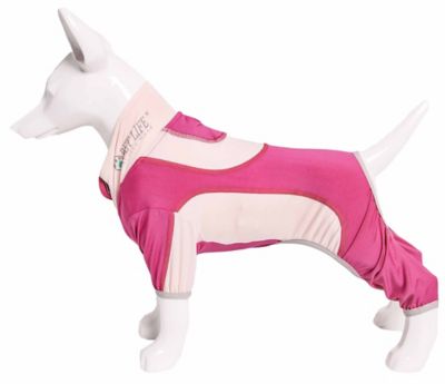 Image showing  Active Warm-Pup Heathered Performance 4-Way Stretch 2-Toned Full-Bodied Warm Up Dog Suit