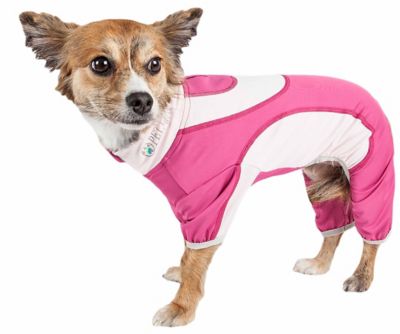 Image showing  Active Warm-Pup Heathered Performance 4-Way Stretch 2-Toned Full-Bodied Warm Up Dog Suit