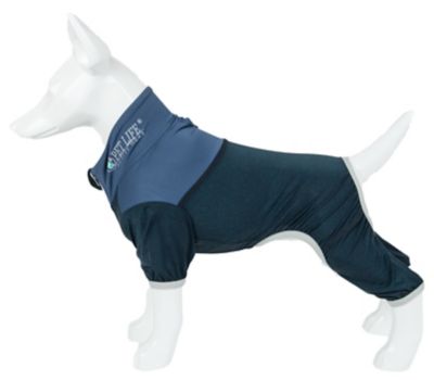 Image showing  Active Embarker Heathered Performance 4-Way Stretch 2-Toned Full-Bodied Warm Up Dog Suit