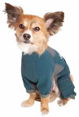 Image showing  Rufflex Mediumweight 4-Way-Stretch Breathable Full-Bodied Performance Dog Warmup Track Suit
