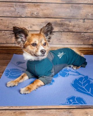 Image showing  Rufflex Mediumweight 4-Way-Stretch Breathable Full-Bodied Performance Dog Warmup Track Suit
