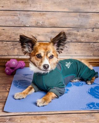 Image showing  Rufflex Mediumweight 4-Way-Stretch Breathable Full-Bodied Performance Dog Warmup Track Suit