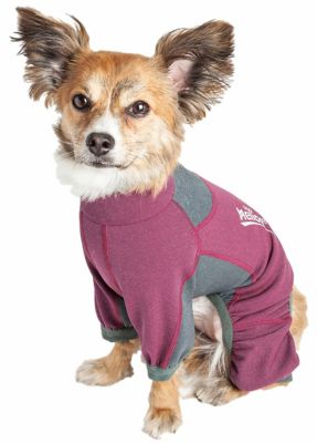 Image showing  Rufflex Mediumweight 4-Way-Stretch Breathable Full-Bodied Performance Dog Warmup Track Suit