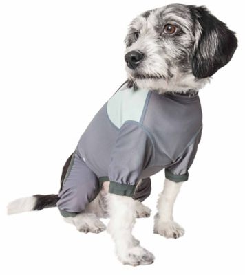 Image showing  Tail Runner Lightweight 4-Way-Stretch Breathable Full-Bodied Performance Dog Track Suit