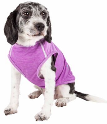 Image showing  Active Aero-Pawlse Heathered Quick-Dry and 4-Way Stretch-Performance Dog Tank Top