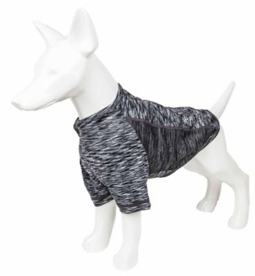 Image showing  Active Warf Speed Heathered Ultra-Stretch Sporty Performance Dog T-Shirt