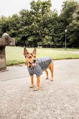 Image showing  Active Warf Speed Heathered Ultra-Stretch Sporty Performance Dog T-Shirt