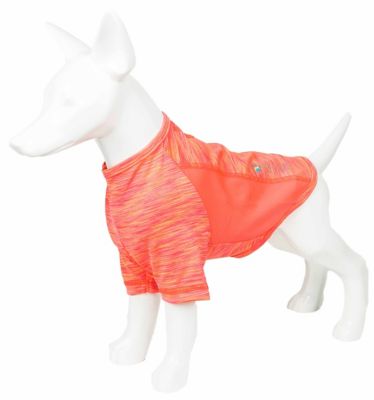 Image showing  Active Warf Speed Heathered Ultra-Stretch Sporty Performance Dog T-Shirt