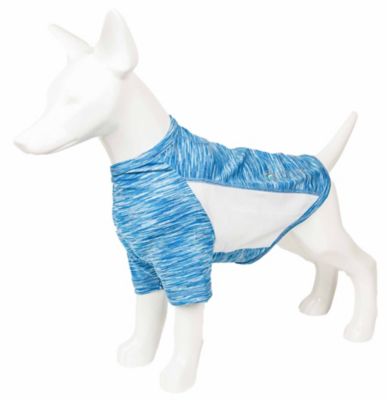 Image showing  Active Warf Speed Heathered Ultra-Stretch Sporty Performance Dog T-Shirt