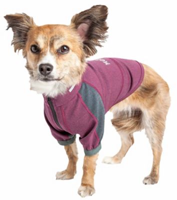 Dog Helios Eboneflow Mediumweight 4-Way-Stretch Flexible and Breathable Performance Dog Yoga T-Shirt