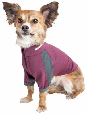 Dog Helios Eboneflow Mediumweight 4-Way-Stretch Flexible and Breathable Performance Dog Yoga T-Shirt
