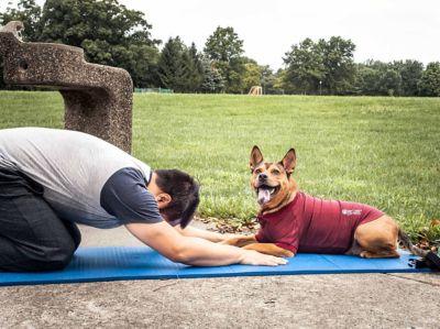 Image showing 5 th Pet Life Active Fur-Flexed Relax-Stretch Wick-Proof Performance Dog Polo T-Shirt