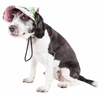 Image showing  Botanic UV-Protectant Adjustable Fashion Dog Hat Cap, Black Floral