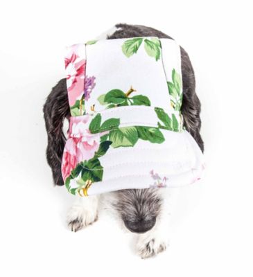 Image showing  Botanic UV-Protectant Adjustable Fashion Dog Hat Cap, Black Floral