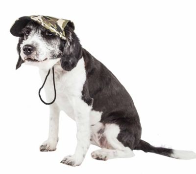 Image showing  Torrential Downfour Camouflage UV-Protectant Adjustable Fashion Dog Hat Cap