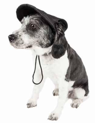 Image showing  Cap-Tivating UV-Protectant Adjustable Fashion Dog Hat Cap
