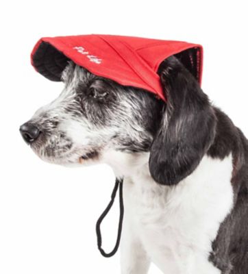 Image showing  Cap-Tivating UV-Protectant Adjustable Fashion Dog Hat Cap