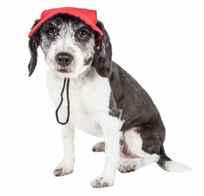 Image showing 2 th Pet Life Cap-Tivating UV-Protectant Adjustable Fashion Dog Hat Cap