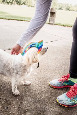Image showing  Colorfur UV-Protectant Adjustable Fashion Canopy Brimmed Dog Hat Cap