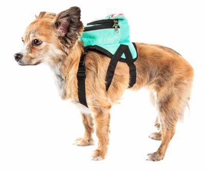 Image showing  Dumbone Dual-Pocketed Compartmental Animated Dog Harness Backpack