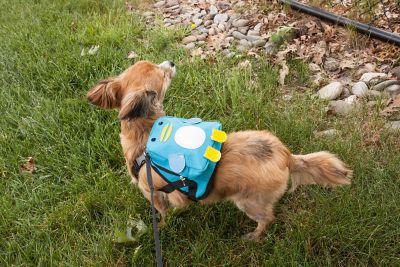 Image showing 9 th Pet Life Waggler Hobbler Large-Pocketed Compartmental Animated Dog Harness Backpack