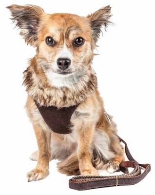 Image showing  Luxe Furracious 2-in-1 Mesh Reversed Adjustable Dog Harness and Leash with Removable Fur Collar