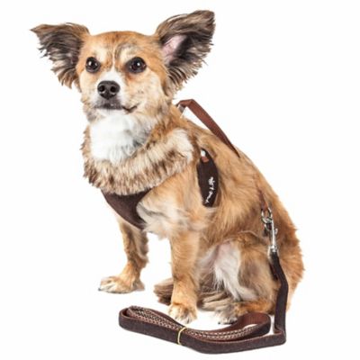Pet Life Luxe Furracious 2-in-1 Mesh Reversed Adjustable Dog Harness-Leash with Removable Fur Collar