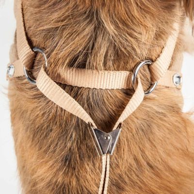 Image showing  Luxe Furracious 2-in-1 Mesh Reversed Adjustable Dog Harness and Leash with Removable Fur Collar