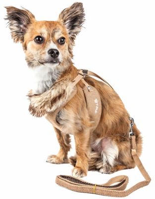 Pet Life Luxe Furracious 2-in-1 Mesh Reversed Adjustable Dog Harness and Leash with Removable Fur Collar