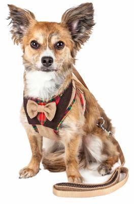 Pet Life Luxe Dapperbone 2-in-1 Mesh Reversed Adjustable Dog Harness and Leash with Fashion Bowtie
