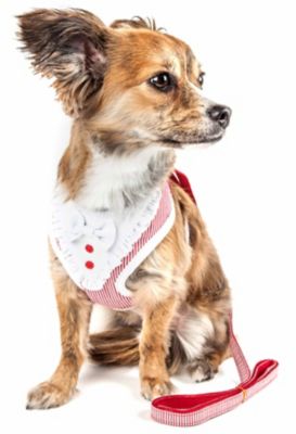 Image showing  Luxe Spawling 2-in-1 Mesh Reversed Adjustable Dog Harness and Leash with Fashion Bowtie