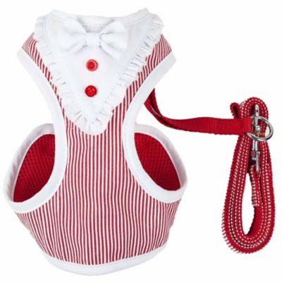 Image showing  Luxe Spawling 2-in-1 Mesh Reversed Adjustable Dog Harness and Leash with Fashion Bowtie