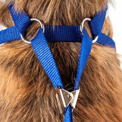 Image showing 7 th Pet Life Luxe Spawling 2-in-1 Mesh Reversed Adjustable Dog Harness and Leash with Fashion Bowtie