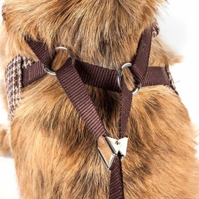 Image showing  Luxe Houndsome 2-in-1 Mesh Reversible Plaid Collared Adjustable Dog Harness and Leash
