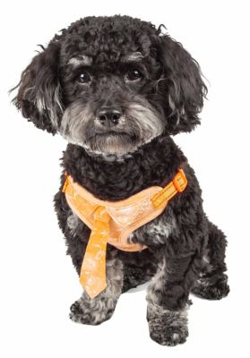 Image showing  Bonatied Mesh Reversible and Breathable Adjustable Dog Harness with Designer Neck Tie