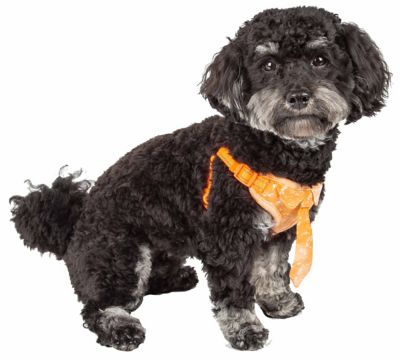Image showing  Bonatied Mesh Reversible and Breathable Adjustable Dog Harness with Designer Neck Tie