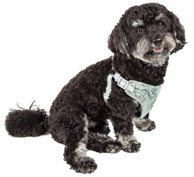 Pet Life Fidomite Mesh Reversible and Breathable Adjustable Dog Harness with Designer Bowtie