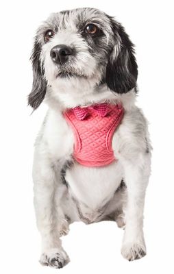 Pet Life Flam-Bowyant Mesh Reversible and Breathable Adjustable Dog Harness with Designer Bowtie