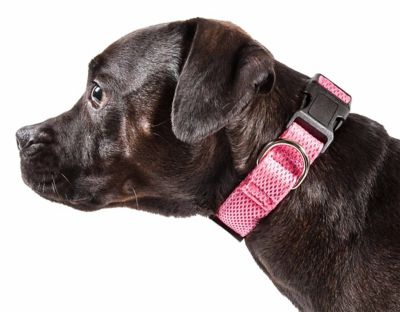 Image showing  Aero Mesh 360-Degree Dual-Sided Comfortable and Breathable Adjustable Mesh Dog Collar