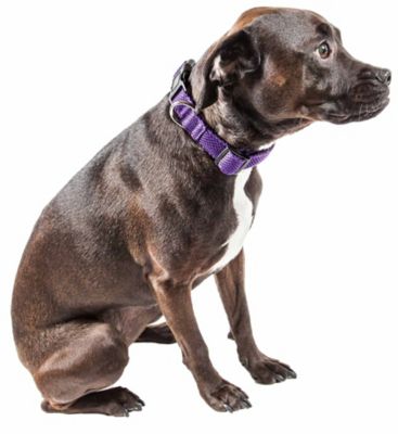 Image showing  Aero Mesh 360-Degree Dual-Sided Comfortable and Breathable Adjustable Mesh Dog Collar