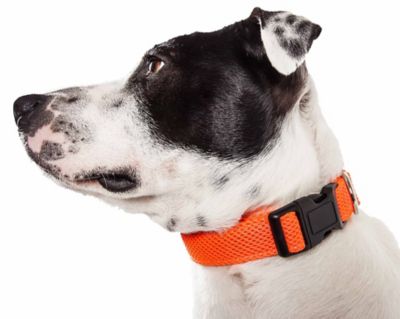 Image showing 1 th Pet Life Aero Mesh 360-Degree Dual-Sided Comfortable and Breathable Adjustable Mesh Dog Collar