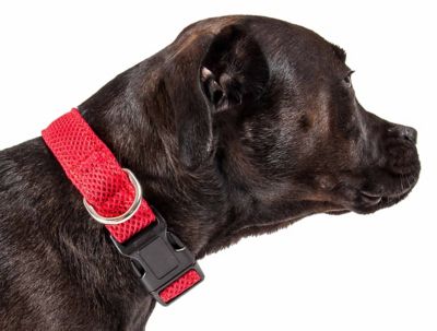 Image showing  Aero Mesh 360-Degree Dual-Sided Comfortable and Breathable Adjustable Mesh Dog Collar