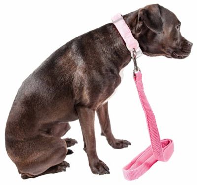 Image showing  Aero Mesh Dual-Sided Comfortable and Breathable Adjustable Mesh Dog Leash