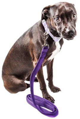 Image showing  Aero Mesh Dual-Sided Comfortable and Breathable Adjustable Mesh Dog Leash