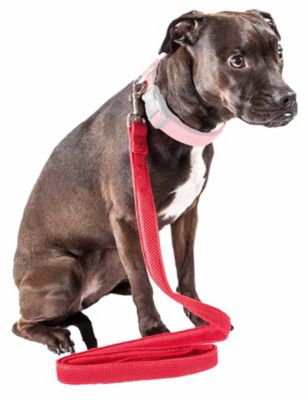 Image showing  Aero Mesh Dual-Sided Comfortable and Breathable Adjustable Mesh Dog Leash