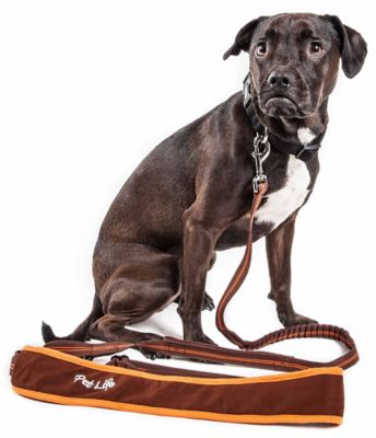 Pet Life Free-Fetcher Hands-Free Over-the-Shoulder Shock Absorbent Dog Leash