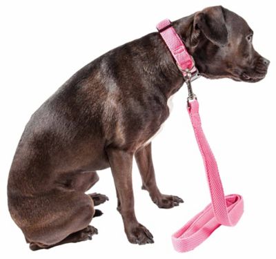 Image showing  Aero Mesh 2-in-1 Dual-Sided Comfortable and Breathable Adjustable Mesh Dog Leash and Collar